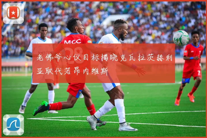 老佛爷心仪目标揭晓克瓦拉茨赫利亚取代若昂内维斯