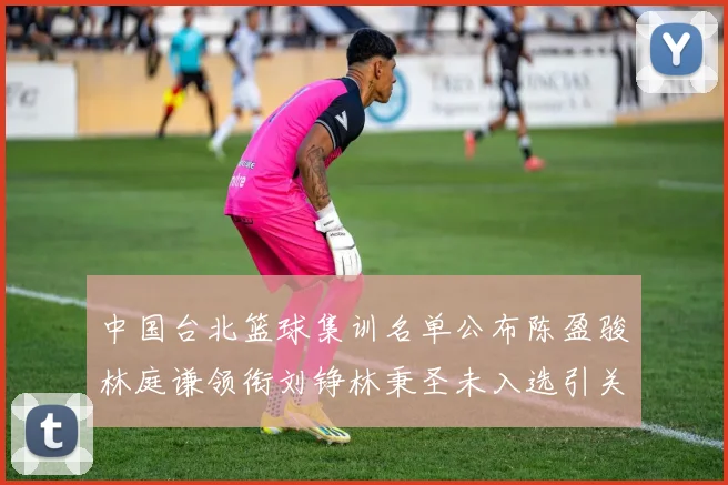 中国台北篮球集训名单公布陈盈骏林庭谦领衔刘铮林秉圣未入选引关注