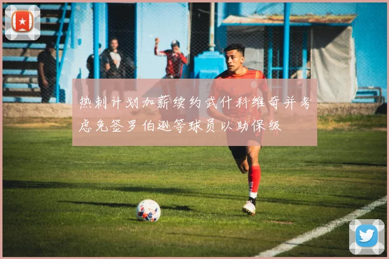 热刺计划加薪续约武什科维奇并考虑免签罗伯逊等球员以助保级