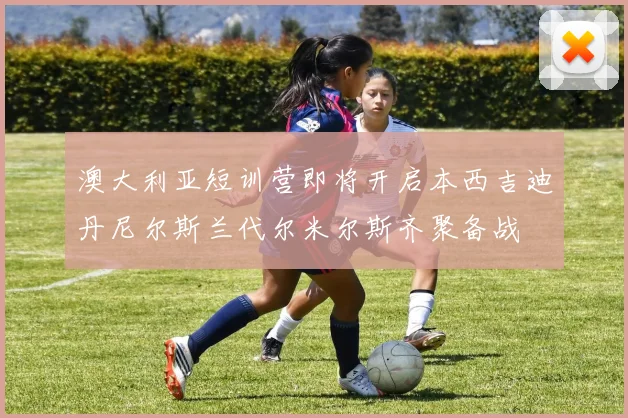 澳大利亚短训营即将开启本西吉迪丹尼尔斯兰代尔米尔斯齐聚备战